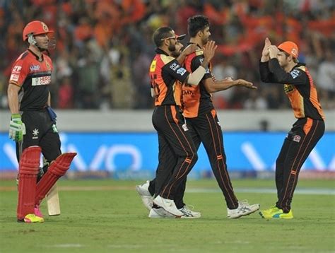 RCB vs SRH IPL Final Live Streaming, Telecast, TV Channels | Twenty20 Wiki