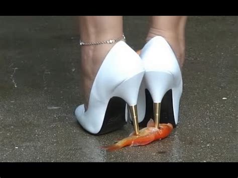 N Bug Crush Teaser Gold Stiletto And Goldfish Youtube