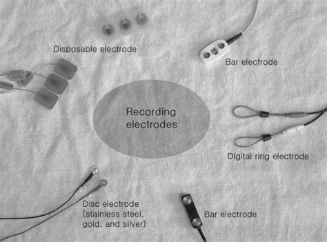 Introduction Musculoskeletal Key