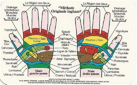 La Reflexologie Palmaire Virginie Réflexologie