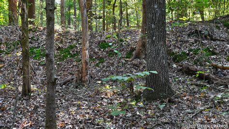 Shiloh National Military Park Corinth Unit Confederate Siege Lines