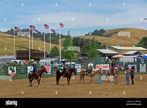 Calaveras Saddle Queen contest, Calaveras County Fair & Jumping frog ...