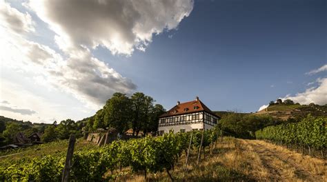 Weingut Hoflößnitz Radebeul Labska stezka