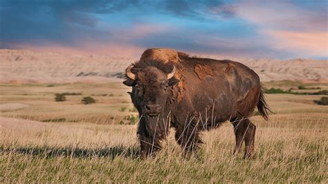 Badlands National Park