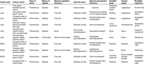 Cultural And Morphological Characteristics Of The Isolated Fungi