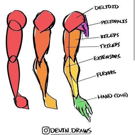 Guided Drawing Drawing Tips Drawing Poses Drawing Techniques