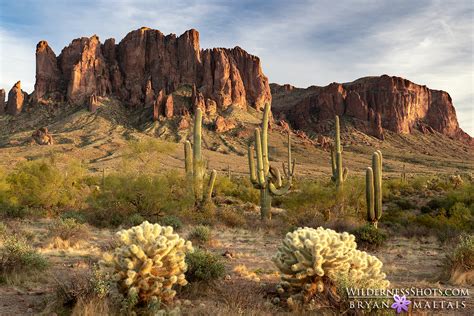 Arizona Landscape Photography Pictures Of Sedona Sonora Desert And More