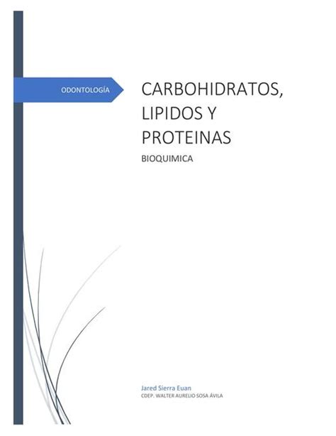 Carbohidratos Proteínas Y Lípidos Jared Euan Udocz