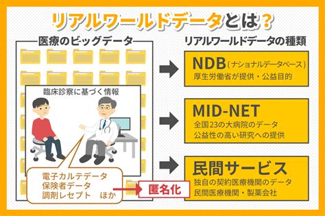 リアルワールドデータとは特徴や活用方法を解説 MDV EBM insight