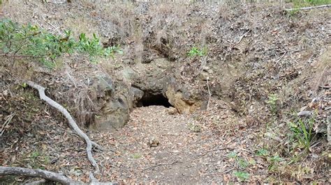 Gold Mine Picnic Area Sir Samuel Griffith Dr Mt Coot Tha Qld