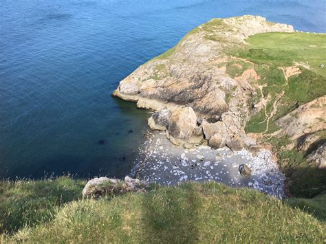 Turnerstackles Guide To Visiting The Angel Bay Seals In North Wales