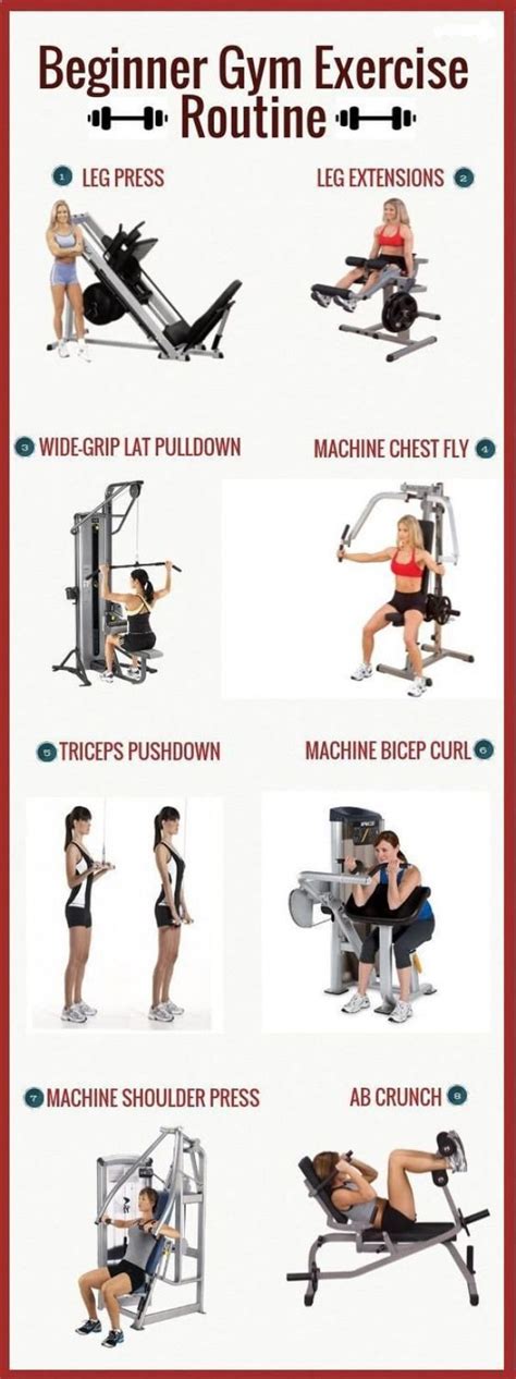 Gym Workout Plan For Female Beginners