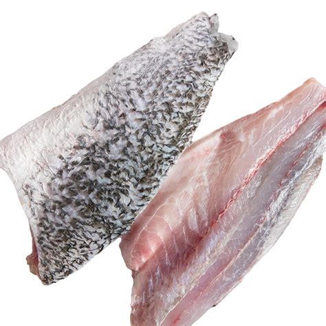 Bulk Fresh Frozen Seafood Fillet Barramundi Fish For Wholesale Buyers