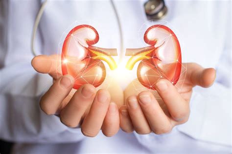 What You Need To Know About Acute Kidney Injury Facty Health