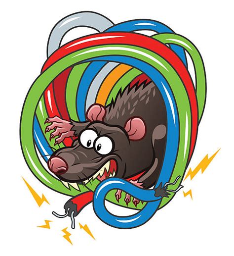 Royalty Free Rat Eating Clip Art, Vector Images & Illustrations - iStock