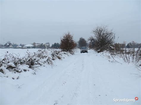 Syndyk Sprzeda Udzia W Dzia Ce Rolnej O Wi Cim Sprzedajemy Pl