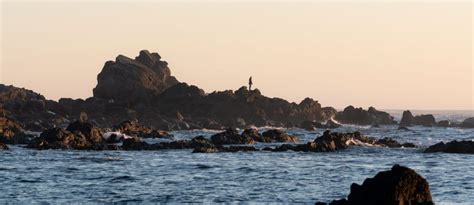 Lets Honour The Ocean With A Bc Coastal Marine Strategy