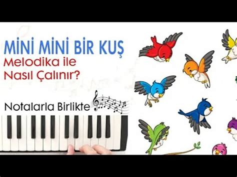 Mini Mini Bir Ku Konmu Tu Melod Ka Ile Alini Youtube