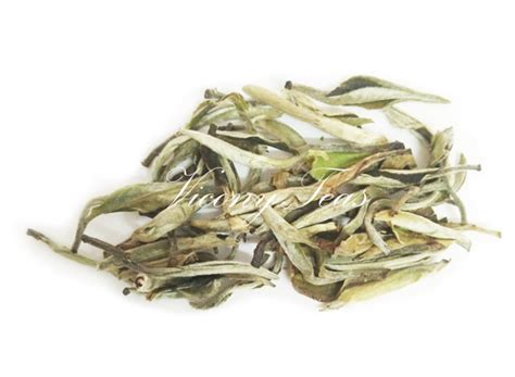 Silver Needle White Tea Wholesale Fuding Bai Hao Yin Zhen Tea