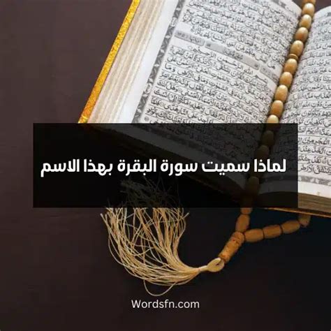 لماذا سميت سورة البقرة بهذا الاسم لماذا سميت بسورة البقرة