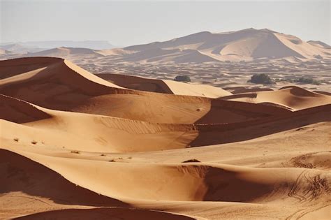 Premium Photo Endless Sands Of The Sahara Desert Beautiful Sunset