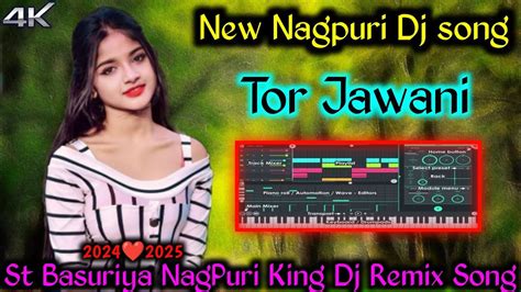 Tor Jawani No Voice Song Ll Nagpuri New Dj Song St