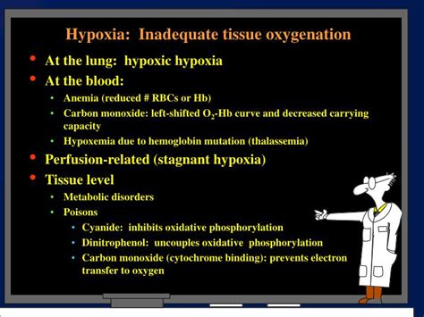 PPT - Hypoxia: Inadequate tissue oxygenation PowerPoint Presentation ...