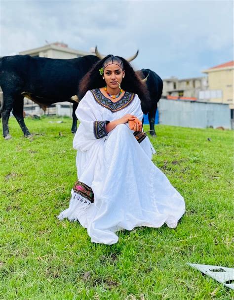 A Woman In A White Dress Sitting On The Grass Next To Two Black Cows