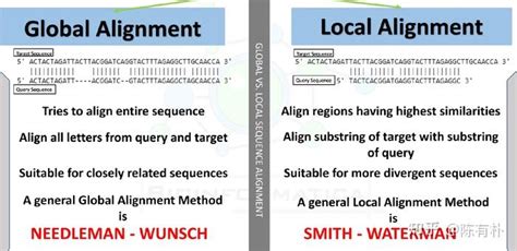 一文搞定序列比对算法Global以及Local Alignment序列比对算法的实现 知乎