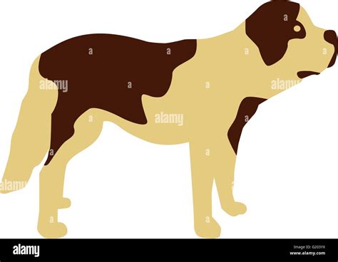 St Bernard Dog Stock Vector Image And Art Alamy