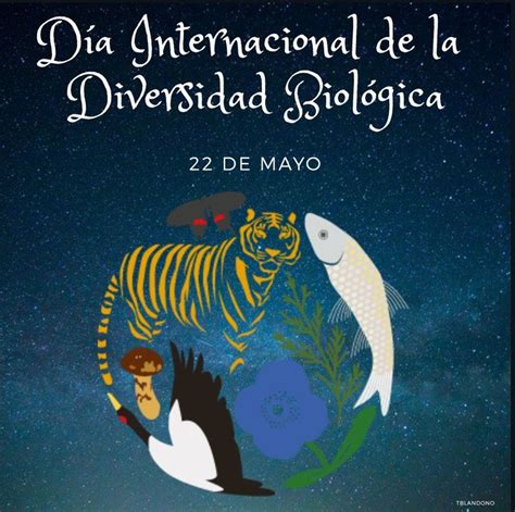 ConcienciaEco 22 de mayo Día Internacional de la Diversidad Biológica