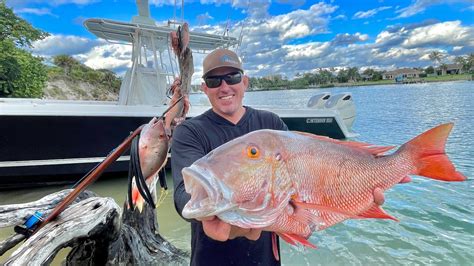 Giant Mutton Snapper Catch Clean And Cook How To Break Down The Entire