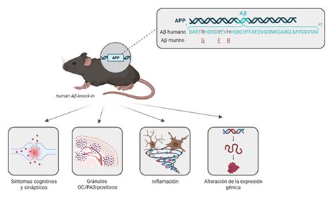 Agregación y propagación de Aβ en modelos transgénicos de la enfermedad