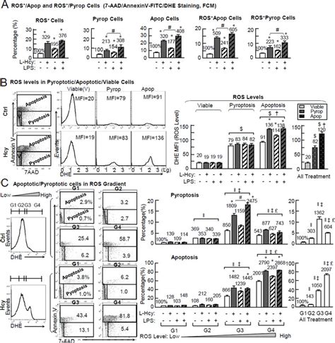 Hcylps Induced Intracellular Ros Levels Determines Cell Destiny