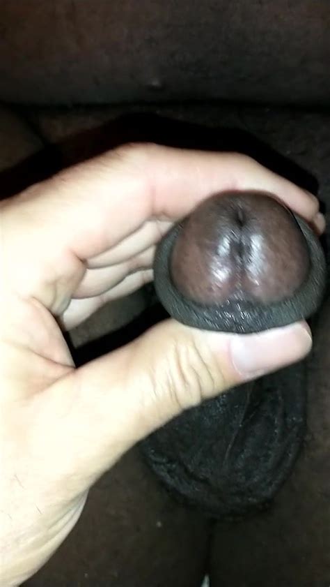 Big Black Chub Buddy Free Gay Handjob HD Porn Video 4c XHamster