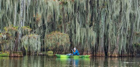 Photographing the Cypress Swamps of Louisiana & Texas - Cascade Center of Photography