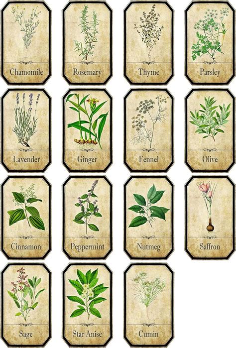 Thorpe Signs Set Of Vintage Style Apothecary Spice Herb Labels Set