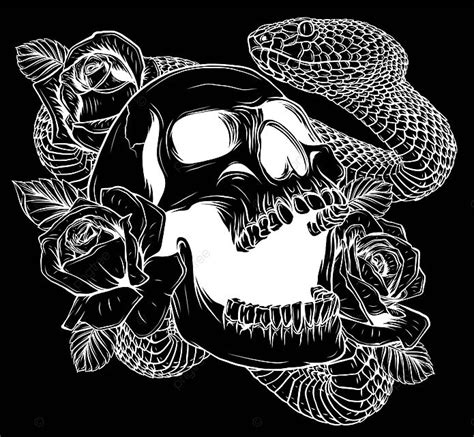 Snake Wrapped Around Skull In A Dark Backgroundillustrated Vector Fear