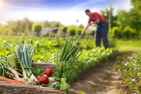 Agricultura Sostenible Un Cambio En El Cual Pensar Y Actuar Azafr N