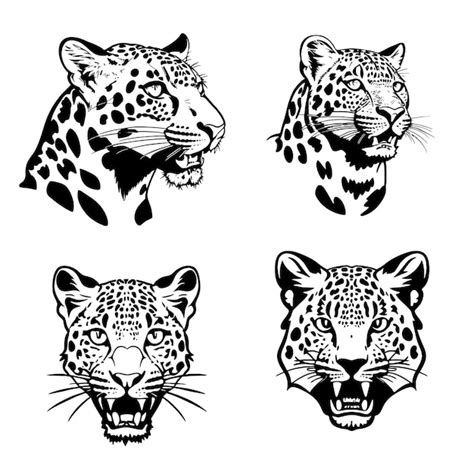 Premium Vector Leopard Head Logo Vector Stencil Set