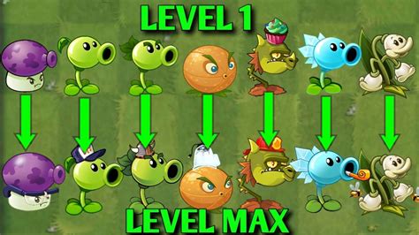 Level 1 Plant Use 5 Power Up Vs Level Max Plant Who Will Win Pvz2