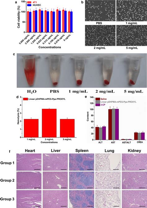 A Viabilities Of 4t1 Cells And Huvec Cells After Incubation With Linear