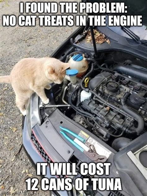 Cat Mechanic Imgflip