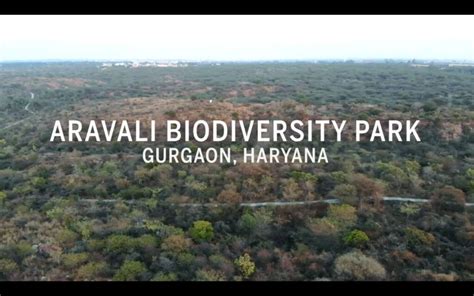 Aravali Biodiversity Park, Gurugram, Haryana