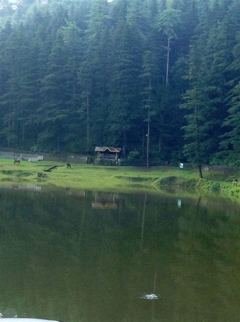 Dal Lake Mcleod Ganj Natural Landmarks Trip Lake