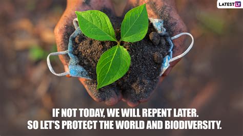 World Soil Day 2022 Quotes Share Slogans Sayings And Messages To