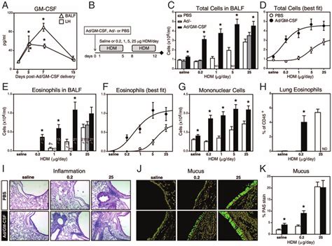 Gm Csf In The Lung Facilitates And Exacerbates Hdm Responses A