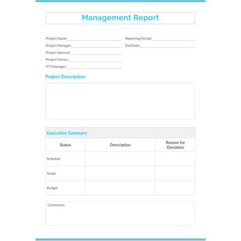 Monthly Management Report Templates Pdf Doc Excel Free