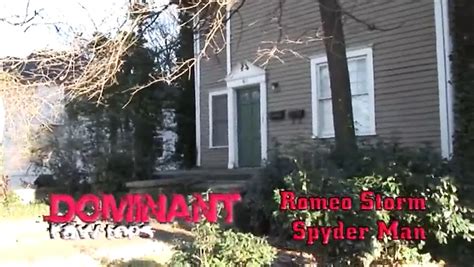 Black Stallions Domination Gay Porn XHamster