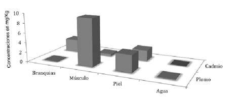 Concentraciones De Pb Y Cd En D Latifrons Y Agua De La Laguna De Tres